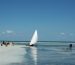 Traditionele dhow