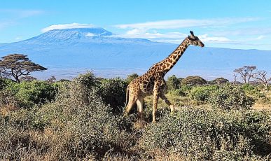 Amboseli Nationaal Park