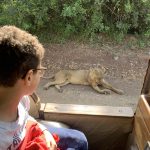 Op safari met kinderen