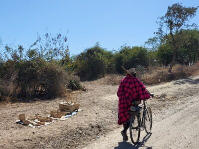 Tanzania - Safari (14) Tanzania - Safari (14)