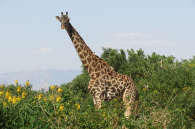 Welke route door Tanzania en Zanzibar past bij jouw reis