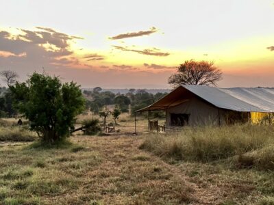 Einde van een safari dag