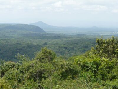 Tanzania - natuur (1) Tanzania - natuur (1)
