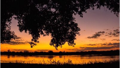 Namibie - natuur Namibie - natuur