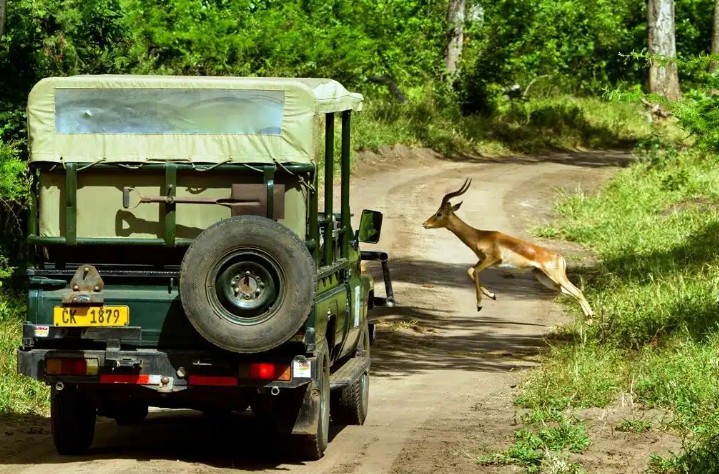 malawi truck