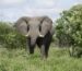 rondreis namibie botswana