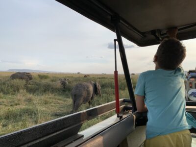 Op safari