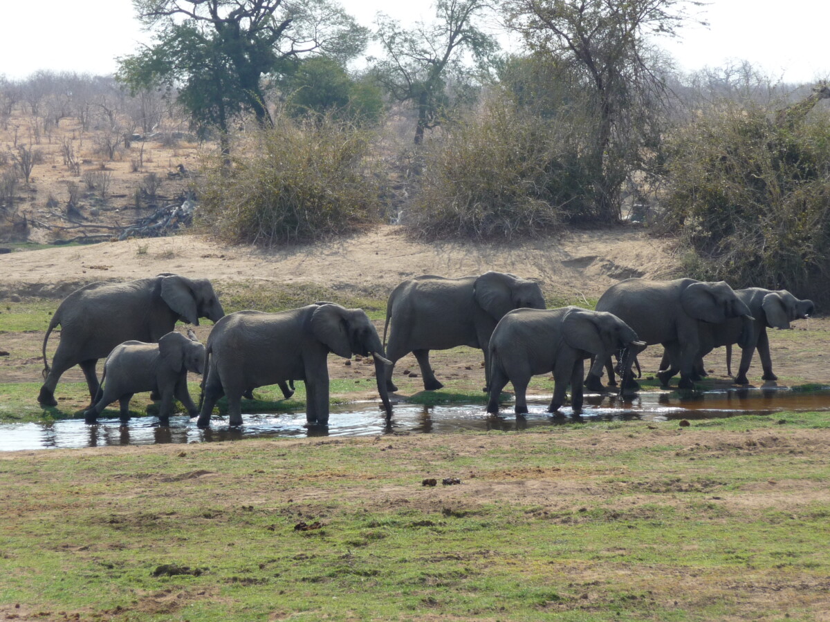Zuid-Tanzania