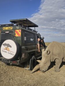 Neushoorn in Ol Pejeta