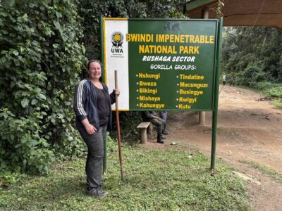 Gorilla trekking Bwindi