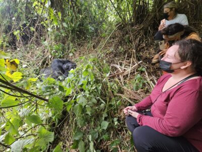 Rwanda gorilla trekking (1)