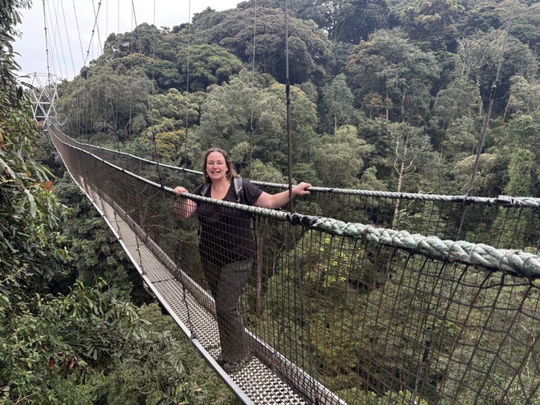 Rwanda Nyungwe Hangbrug