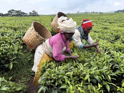 rwanda thee (2)