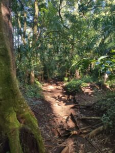 Malawi - zomba2