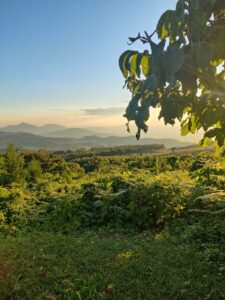 Malawi - zomba9