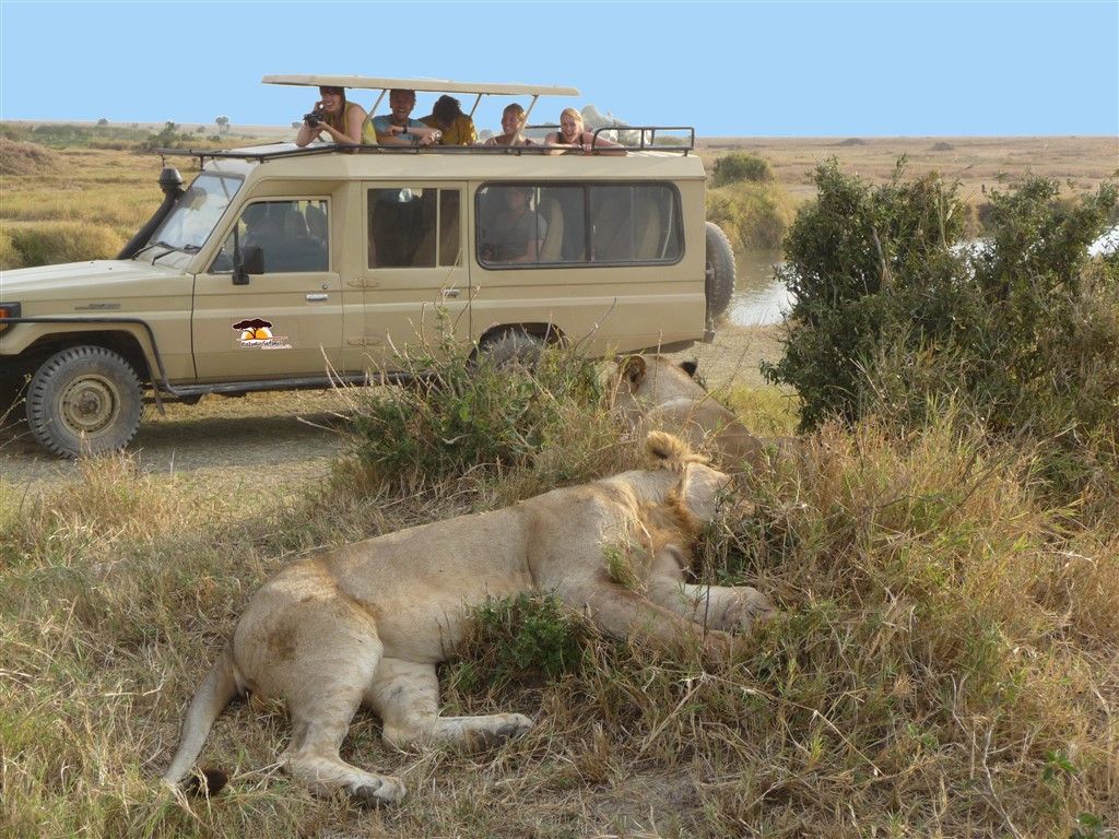 eerst op safari in tanzania of eerst naar zanzibar