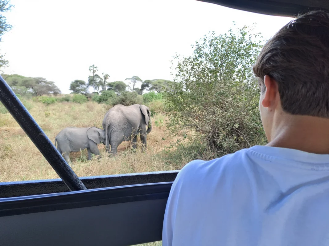 hoe combineer je een safari in tanzania met zanzibar