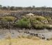 welke nationale parken in tanzania moet je kiezen voor je eerste safari