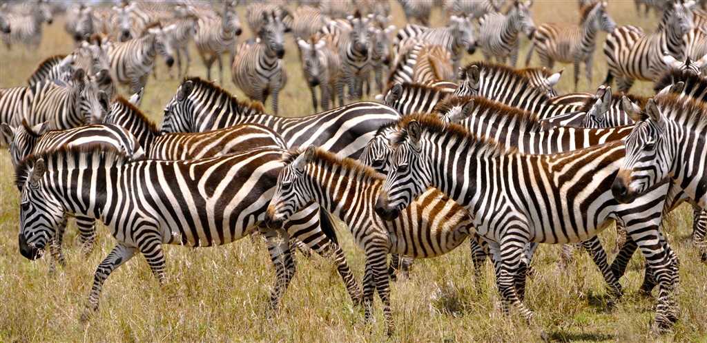 welke route door tanzania en zanzibar past bij jouw reis