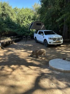 Auto met tent op dak