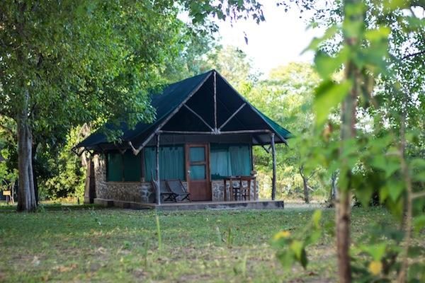 Mvuu Camp - Kazuri safaris