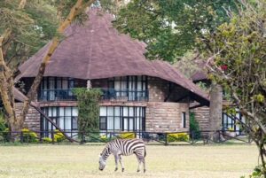 Kenia - Sopa Lodge