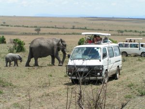 Kenia safari - Kazuri Safaris