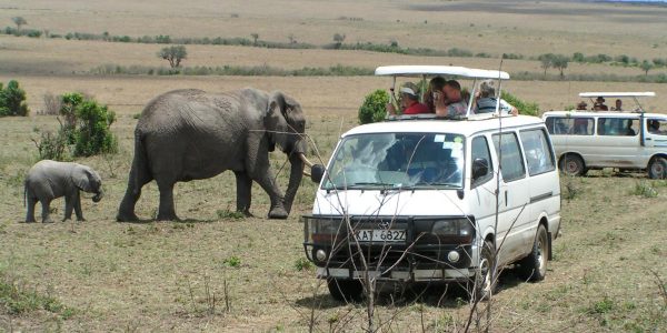 Kenia – Kazuri Safaris (114)