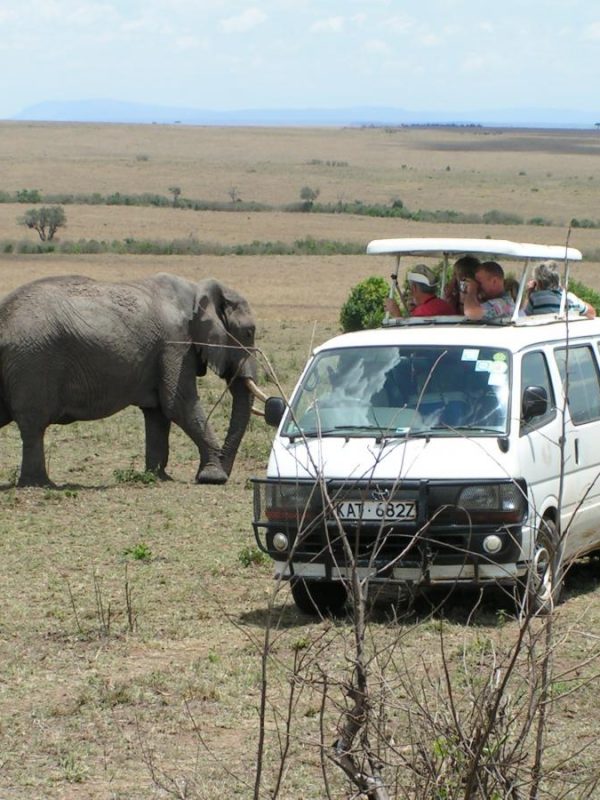 Safari Kenia - Kazuri Safaris