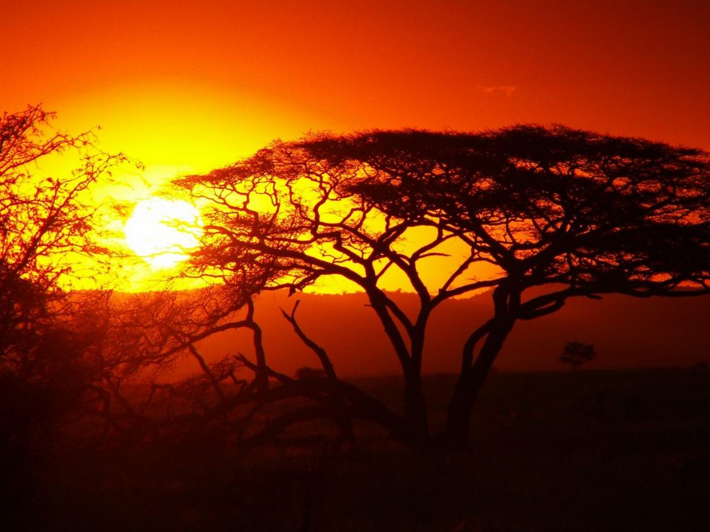 Typische zonsondergang in Kenia