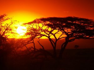 Typische zonsondergang in Kenia