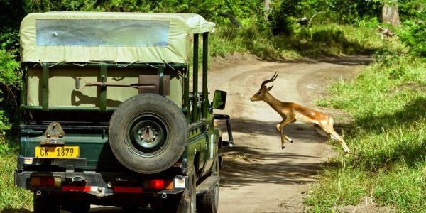 Malawi-Kazuri-Safaris (7)