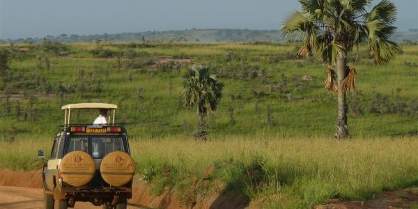 Oeganda-Kazuri-Safaris (69)