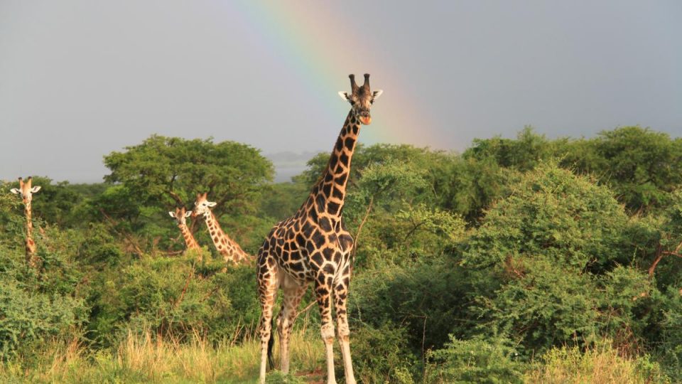 Tanzania-Kazuri-Safaris