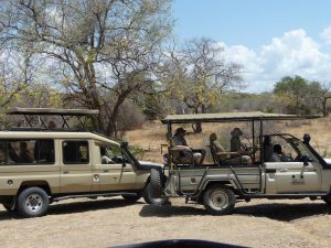 Groepsreis Tanzania - Kazuri Safaris