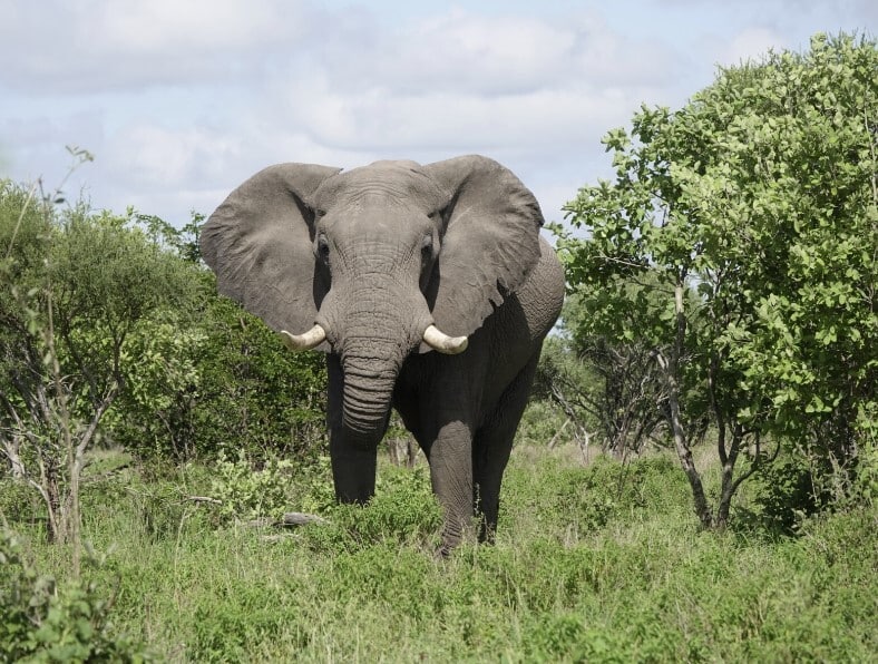 Rondreis Namibië en Botswana