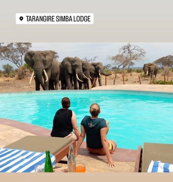 Olifanten bij Simba Lodge - Tanzania