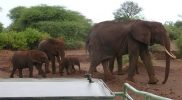 Evaluatie Tanzania reis: Mirjam