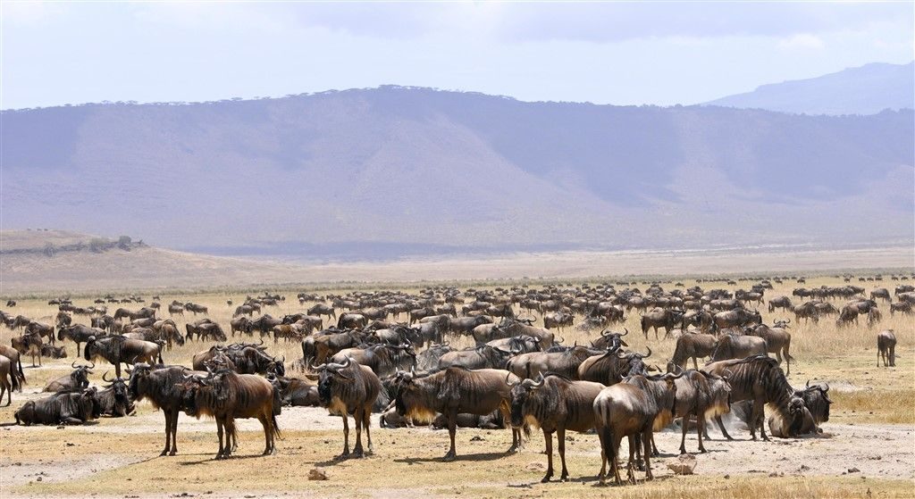 Tanzania-Kazuri-Safaris
