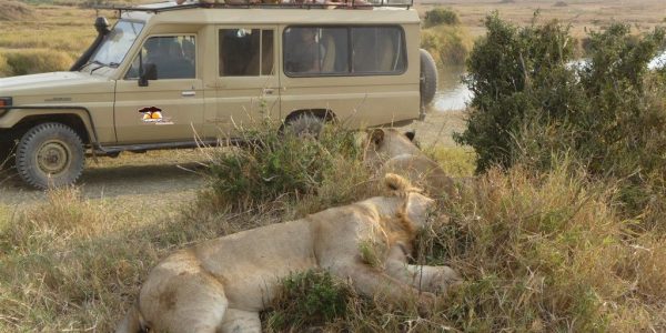 Tanzania-Kazuri-Safaris (6)