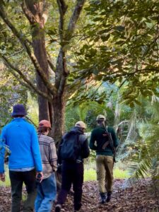 Wandelsafari