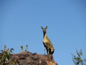 Kazuri Safaris - Namibië