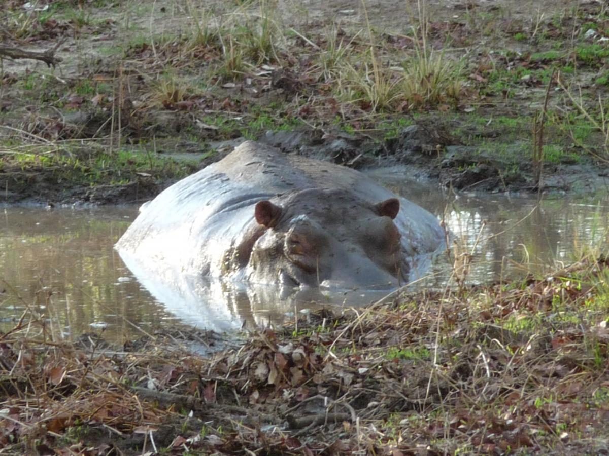 Kazuri Safaris - Zambia