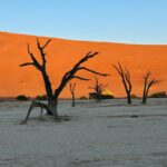 Sossusvlei in Namibië